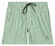 Baileys Allover Printed 2-Tone Drawstring Swim Short Misty Green