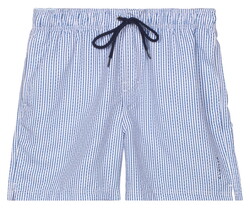 Baileys Allover Printed Seersucker Stripe Swim Short Delft Blue