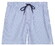 Baileys Allover Printed Seersucker Stripe Swim Short Delft Blue