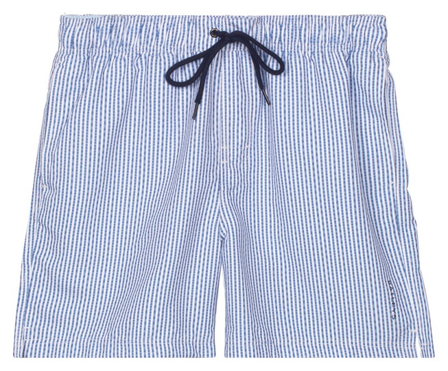 Baileys Allover Printed Seersucker Stripe Swim Short Delft Blue