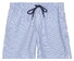Baileys Allover Printed Seersucker Stripe Swim Short Delft Blue