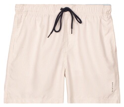 Baileys Allover Printed Seersucker Stripe Swim Short Shell