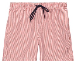 Baileys Allover Printed Seersucker Stripe Swim Short Terra