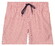 Baileys Allover Printed Seersucker Stripe Swim Short Terra