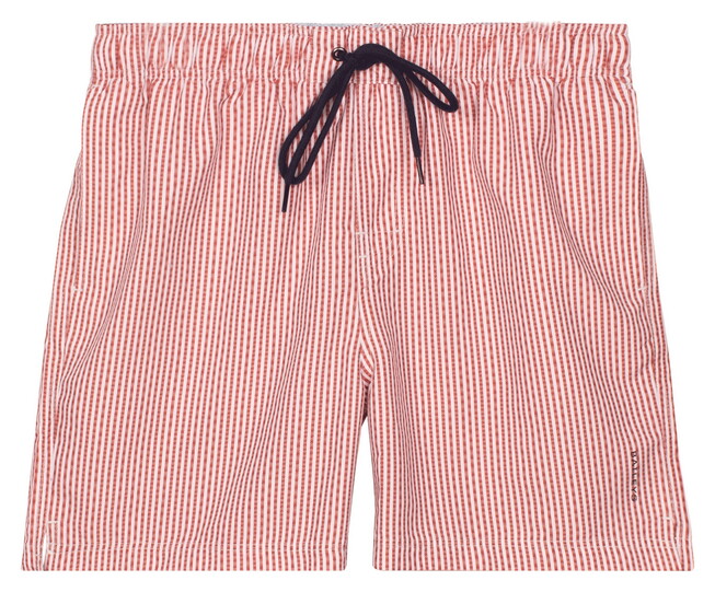 Baileys Allover Printed Seersucker Stripe Swim Short Terra