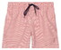 Baileys Allover Printed Seersucker Stripe Swim Short Terra