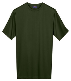 Baileys Solid Color Crew Neck T-Shirt Bladgroen