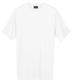 Baileys Solid Color Crew Neck T-Shirt White
