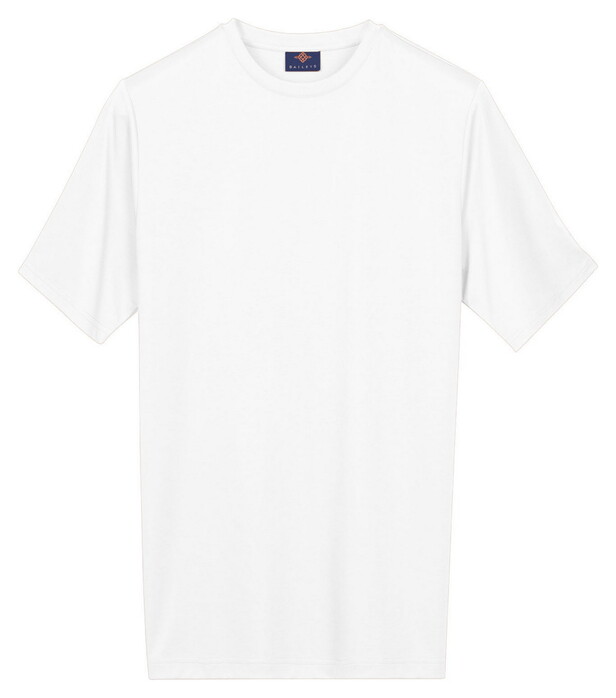 Baileys Solid Color Crew Neck T-Shirt Wit