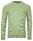 Baileys Two-Tone Jacquard Crew Neck Allover Plated Trui Pastel Groen