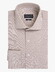 Cavallaro Napoli Ancona Cotton Jersey Shirt Dark Kitt