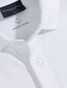 Cavallaro Napoli Bavegio Organic Cotton Blend Subtle Stretch Polo Wit