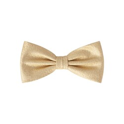 Daspartout Lurex Strik Bow Tie Gold