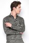 Desoto Cotele New Shark Fine Line Cotton Overhemd Grijs