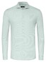 Desoto Luxury Minimal Dots Pattern Overhemd Licht Groen