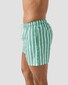 Eton Stripe Drawstring Rear Zip Pocket Swim Short Groen