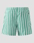 Eton Stripe Drawstring Rear Zip Pocket Swim Short Groen