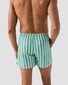 Eton Stripe Drawstring Rear Zip Pocket Swim Short Groen