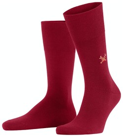 Falke Airport Rudolph Sokken Ingle