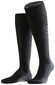 Falke Bristol Pure Kniekous Kniekousen Zwart