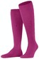 Falke Climawool Knee-Highs Berry