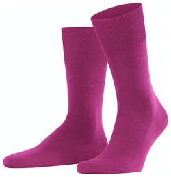 Falke Climawool Socks Berry