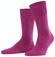 Falke Climawool Socks Berry