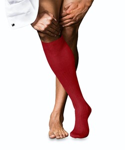 Falke No. 10 Egyptian Karnak Cotton Kniekous Kniekousen Cardinal