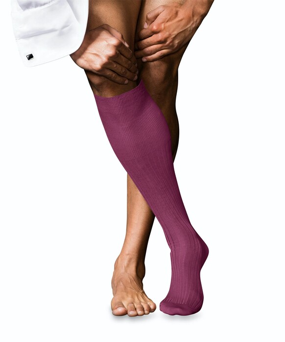 Falke No. 10 Egyptian Karnak Cotton Kniekous Kniekousen Raspberry