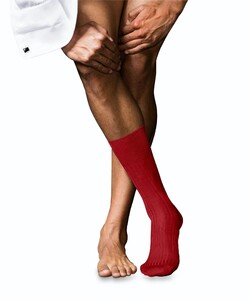Falke No. 10 Socks Egyptian Karnak Cotton Sokken Cardinal