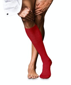 Falke No. 6 Finest Merino and Silk Kniekous Knee-Highs Cardinal