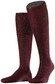 Falke No. 6 Finest Merino and Silk Kniekous Kniekousen Barolo