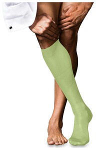 Falke No. 9 Egyptian Karnak Cotton Kniekous Kniekousen Lemon