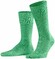 Falke Tiago Socks Sokken Neo Mint