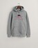 Gant Archive Shield Embroidery Hoodie Trui Grijs Melange