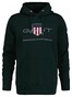 Gant Archive Shield Embroidery Hoodie Trui Tartan Green