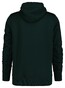 Gant Archive Shield Embroidery Hoodie Trui Tartan Green