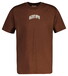 Gant Graphic 1949 Arch Short Sleeve T-Shirt Mahogany Brown