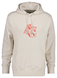 Gant Graphic Abstract Logo Sweat Hoodie Trui Putty