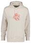 Gant Graphic Abstract Logo Sweat Hoodie Trui Putty