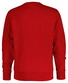 Gant Graphic Crew Neck Sweatshirt Trui Ruby Red