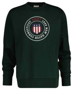 Gant Graphic Crew Neck Sweatshirt Trui Tartan Green