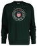 Gant Graphic Crew Neck Sweatshirt Trui Tartan Green