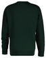 Gant Graphic Crew Neck Sweatshirt Trui Tartan Green