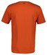 Gant Graphic Short Sleeve 1949 USA T-Shirt Deep Orange