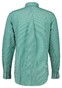 Gant Poplin Stripe Button Down Overhemd Diep Groen