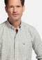 Giordano Ivy Oxford Gingham Check Button-Down Overhemd Pastel Groen