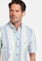 Giordano League Button-Down Stripe Twill Overhemd Apple Green-Multi