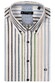 Giordano League Button-Down Stripe Twill Overhemd Apple Green-Multi