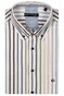 Giordano League Button-Down Stripe Twill Overhemd Apple Green-Multi